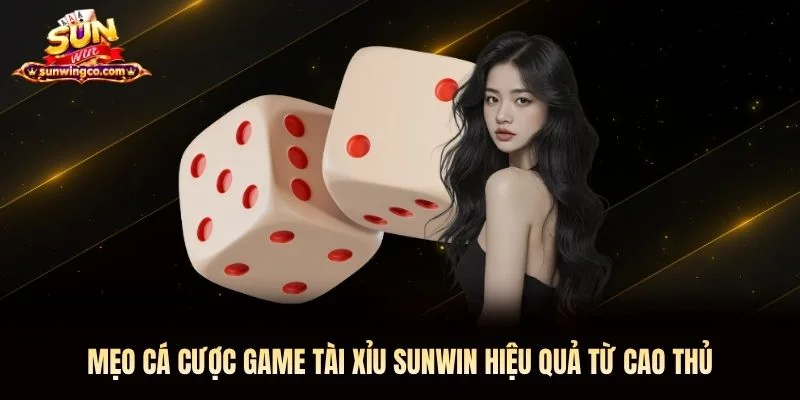Mẹo cá cược game tài xỉu Sunwin hiệu quả từ cao thủ